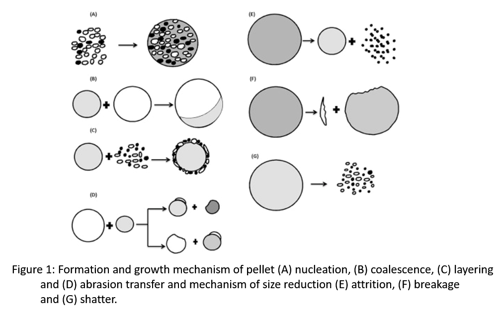 feed wire spheronization process