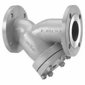 Carbon Steel Strainer